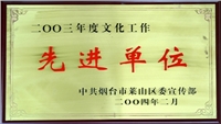 2003年萊山區(qū)文化工作先進單位 